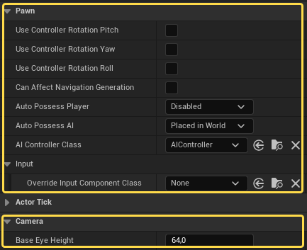 Настройки Details класса Pawn (class Defaults) Настройки Details класса Pawn (class Defaults)
