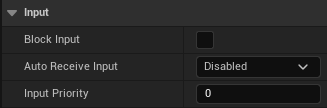 Actor Details: Input Actor Details: Input